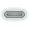 Адаптер живлення Apple USB-C to Apple Pencil Adapter (MQLU3)