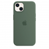 Чохол Silicone Case with MagSafe для iPhone 13 (Eucalyptus) (MN633) (Original Assembly)