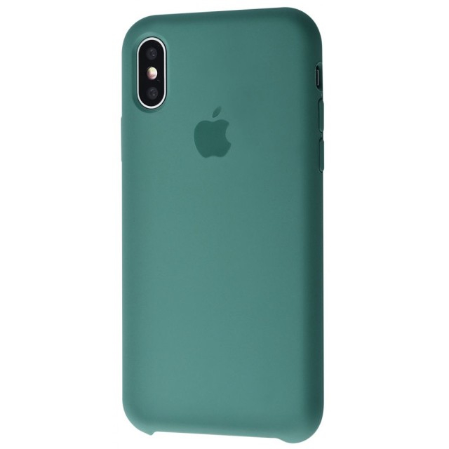 Чохол Silicone Case для iPhone X/Xs (Pine Green) (Original Assembly)