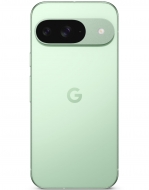 Google Pixel 9 12/256Gb Wintergreen (Global)