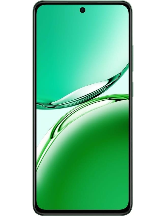 OPPO Reno12 FS 5G 12/512Gb (Black Green)