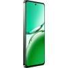 OPPO Reno12 FS 5G 12/512Gb (Black Green)