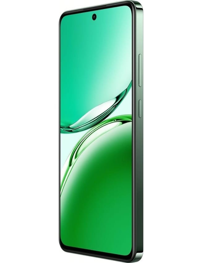 OPPO Reno12 FS 5G 12/512Gb (Black Green)