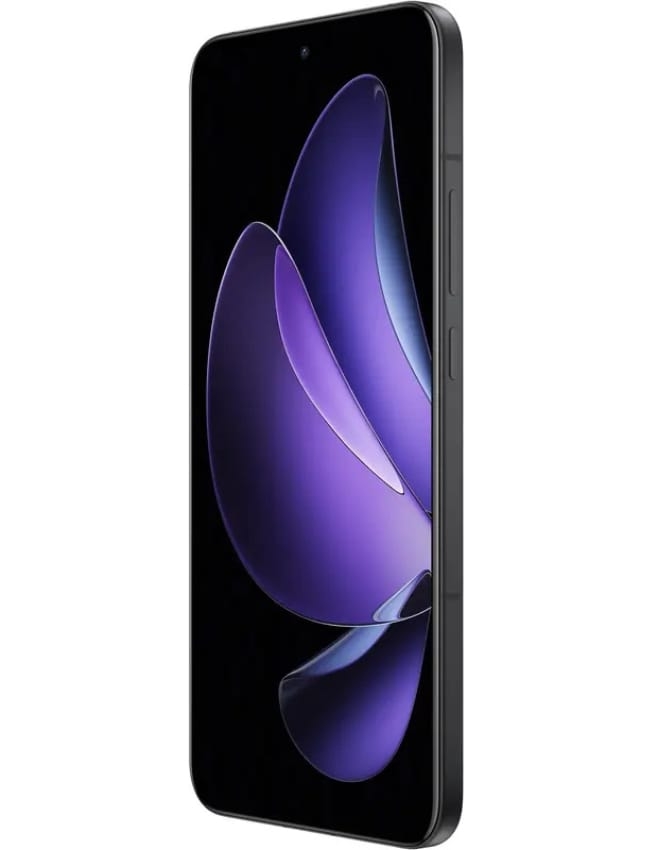 OPPO OPPO Reno13 Pro 5G 12/512Gb (Graphite Grey)