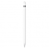 Стилус Apple Pencil (USB-C) (MUWA3) 2023