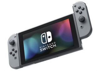 Ігрова приставка Nintendo Switch with Gray Joy-Con (045496452612)