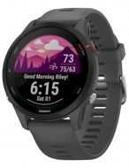 Смарт-часы Garmin Forerunner 255 Slate Gray