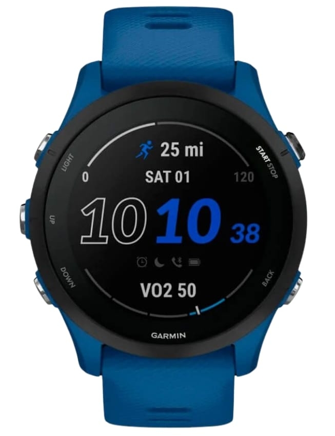 Смарт-годинник Garmin Forerunner 255 Tidal Blue