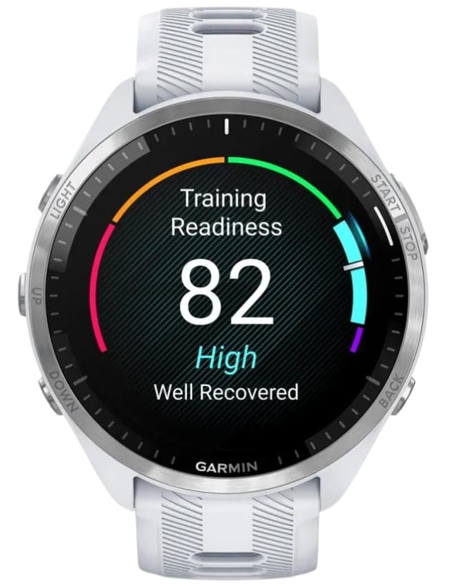 Смарт-часы Garmin Forerunner 965 Titanium Bezel, Whitestone Case with Whiteston/Powder Gray Silicone Band