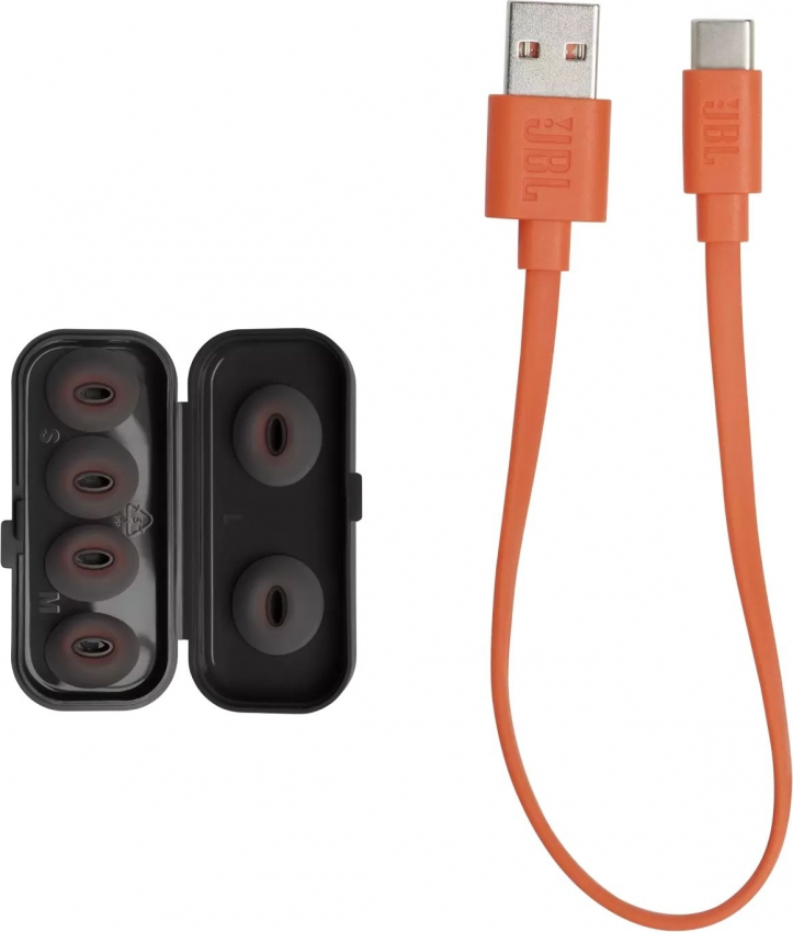 Навушники Навушники JBL Tune Flex Black (JBLTFLEXBLK)