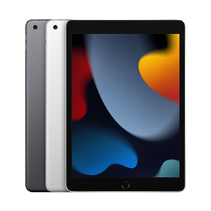 Планшет Apple iPad 10.2, 256Gb, Wi-Fi, Silver (MK2P3) 2021
