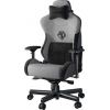 Крісло для геймерів Anda Seat T-Pro 2 Size XL (Gray/Black)