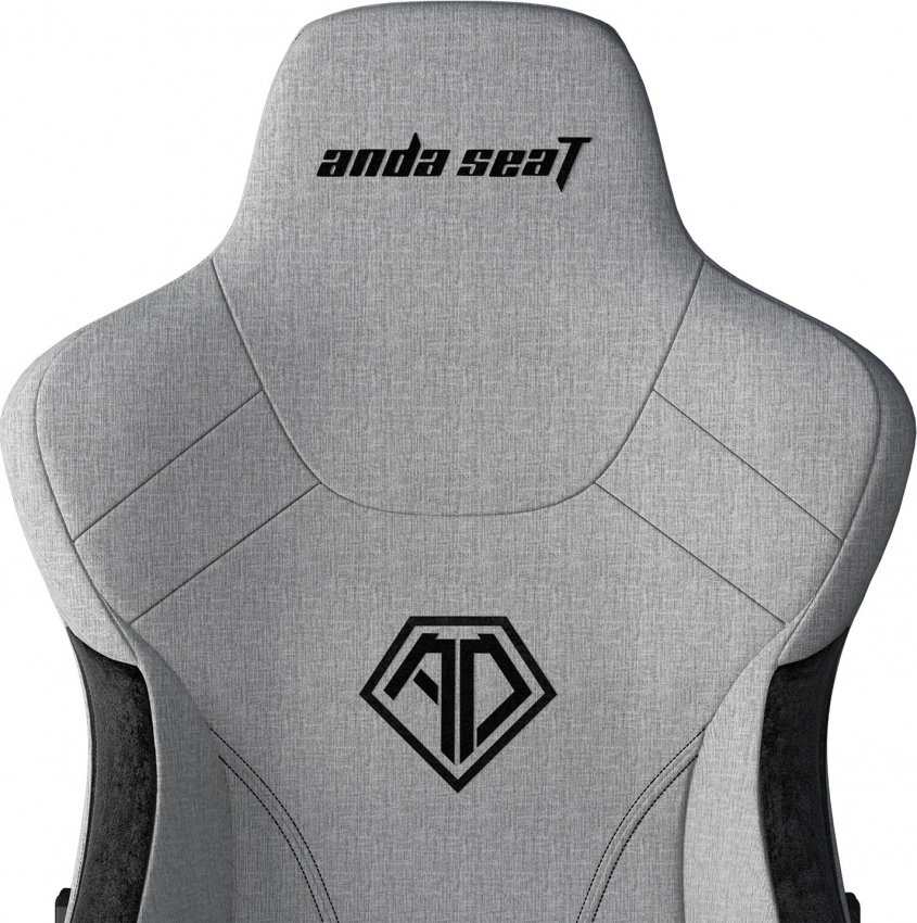 Крісло для геймерів Anda Seat T-Pro 2 Size XL (Gray/Black)