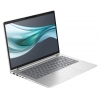Ноутбук HP EliteBook 645 G11 (8Z3N0AV_V4) Silver