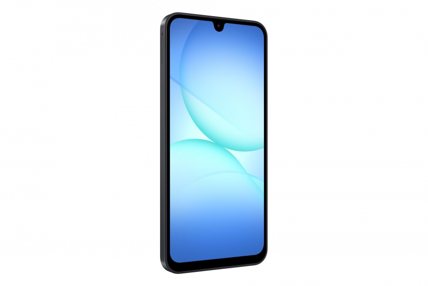 Смартфон Samsung Galaxy A17 8/256Gb Black (SM-A175FZKEEUC)