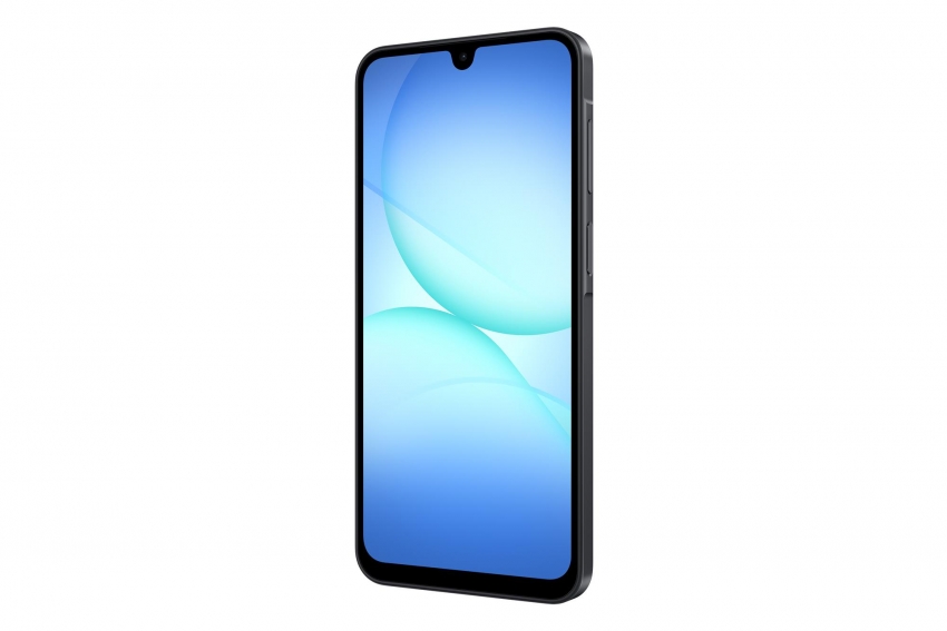 Смартфон Samsung Galaxy A17 8/256Gb Black (SM-A175FZKEEUC)