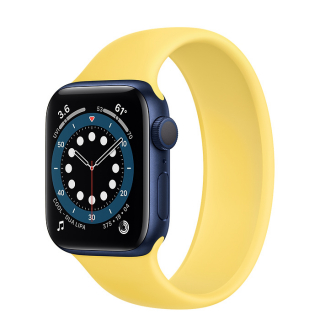 Apple Watch Series 6 40mm Blue Aluminum Case with Ginger Solo Loop