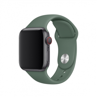 Оригинальный ремешок для Apple Watch 38/40/41mm Pine Green Sport Band (MWUR2)