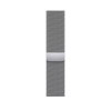 Apple Watch Series 8 41mm GPS + LTE, Silver Stainless Steel Case with Silver Milanese Loop (MNJ73/MNJ83)